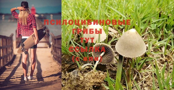марки nbome Баксан